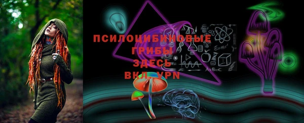 2c-b Верея