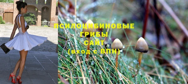2c-b Верея