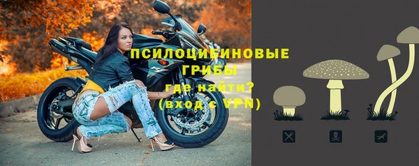 PSILOCYBIN Переславль-Залесский
